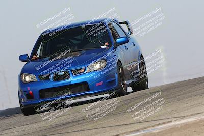 media/Nov-08-2024-GTA Finals Buttonwillow (Fri) [[4a17d6ccc6]]/1030am (Grapevine)/